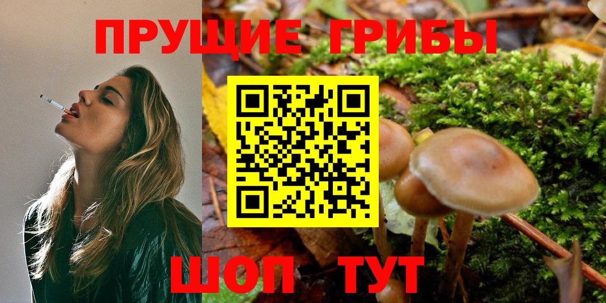 Десногорск  Галлюциногенные грибы MAGIC MUSHROOMS  Вход с VPN 
